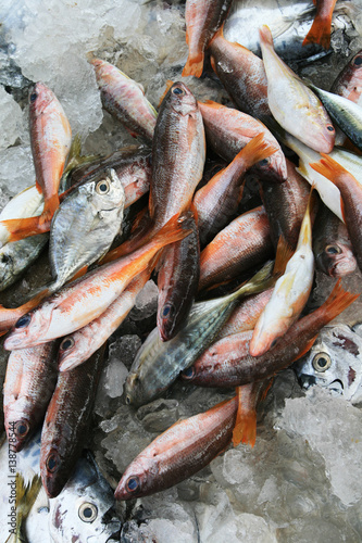 fresh fish at market