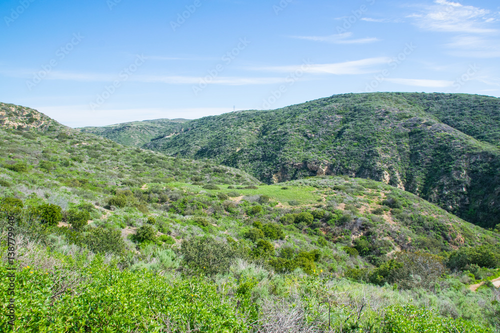 Naklejka premium View of Laguna Beach, Southern California 