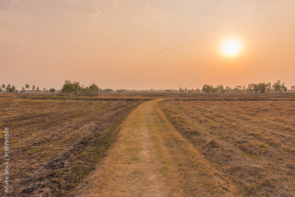 rural road going through prairie under sunset sky