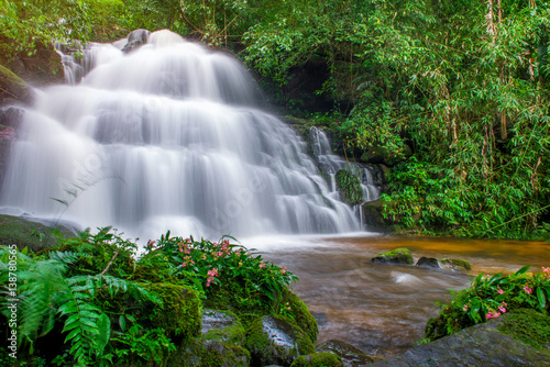 beautiful waterfall in rainforest at phu tub berk mountain  phetchabun  Thailand  Mun Dang waterfalls 