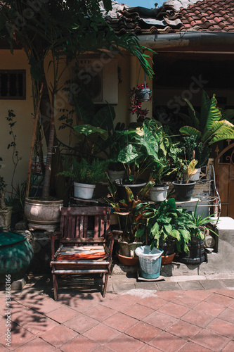 Wooden chair is surrounded by plants, on the street Asia