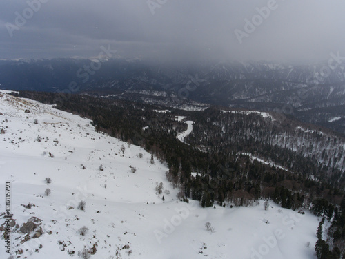Aerial landscape of the snowy forest in the mountains.
