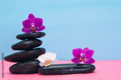 several orchid on black stones as a background for an inscription