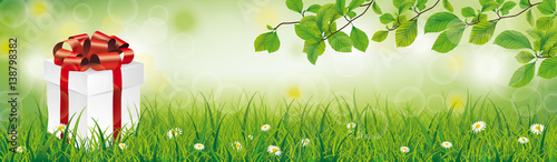 Gift Box Spring Grass Beech Twigs Header