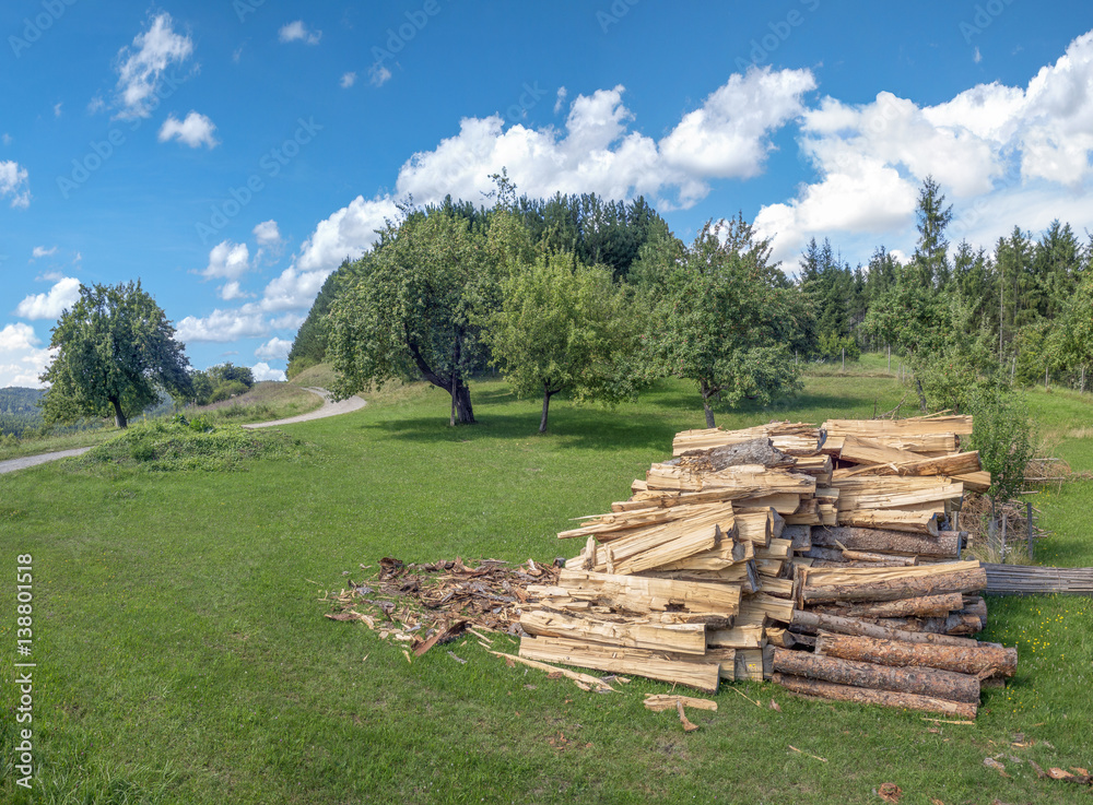 Bearbeitetes Brennholz auf einer Wiese in ländlicher Landschaft Bearbeitetes Brennholz auf einer Wiese in ländlicher Landschaft