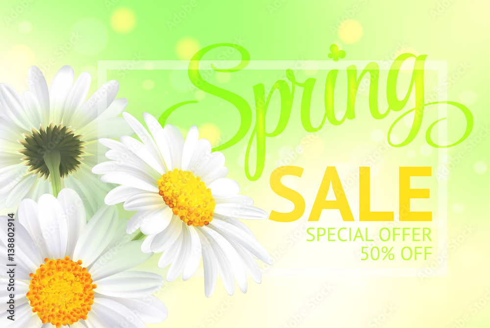 Fototapeta premium Springr sale concept. Summer background with chamomile and fresh green background. Template for banners, web, flyer, voucher. Vector illustration.
