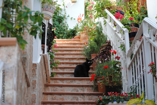 Black cat sitting on the stairs