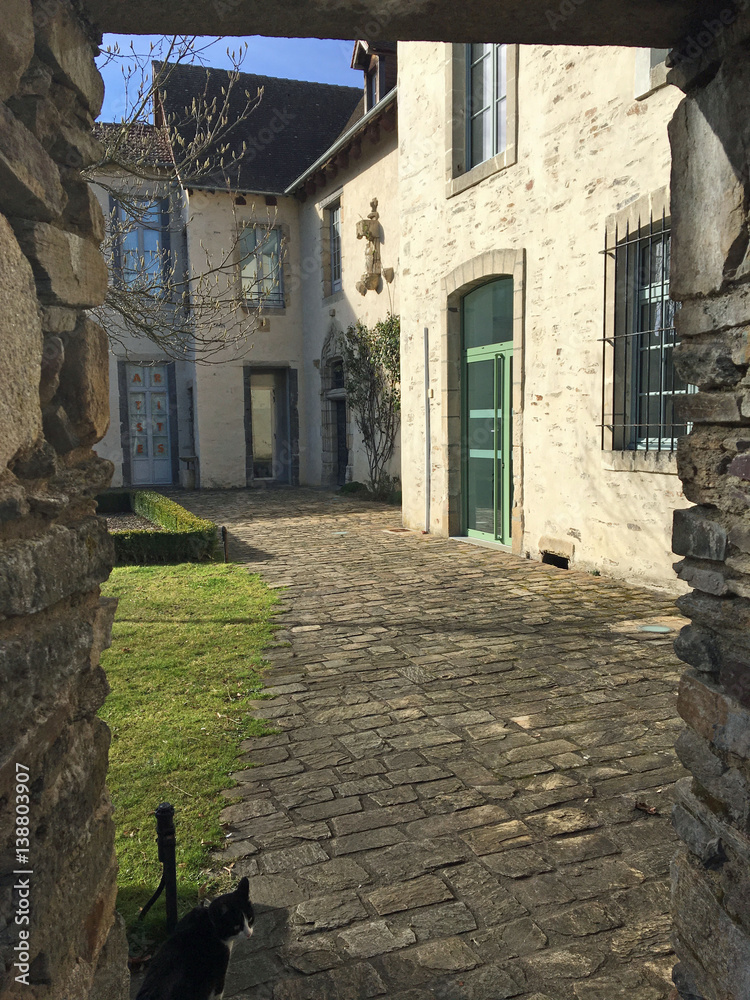 Fototapeta premium Entrée et visite sur cour pavée