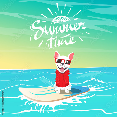 Cute happy dog and hipster swimming on surfboard