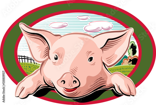 Pig looks out from an oval frame.