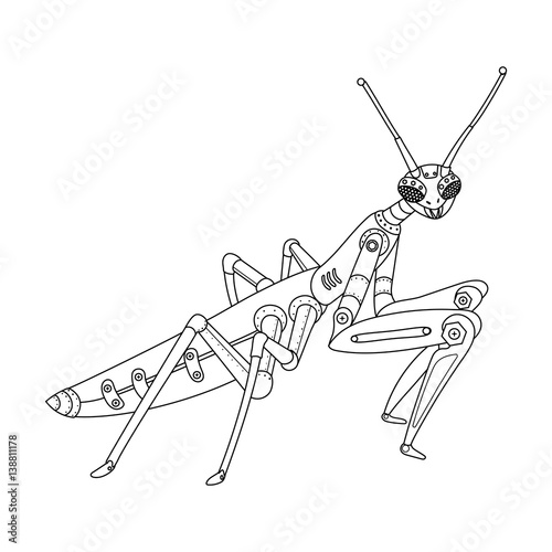 Steampunk style mantis coloring book vector