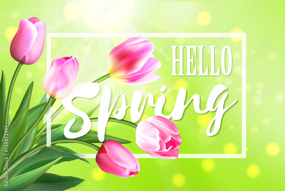 Hello spring banner. Greeting card background. Tulip flowers and lettering. Hello spring. Hello spring banner. Greeting card background. Tulip flowers and lettering. Hello spring.
