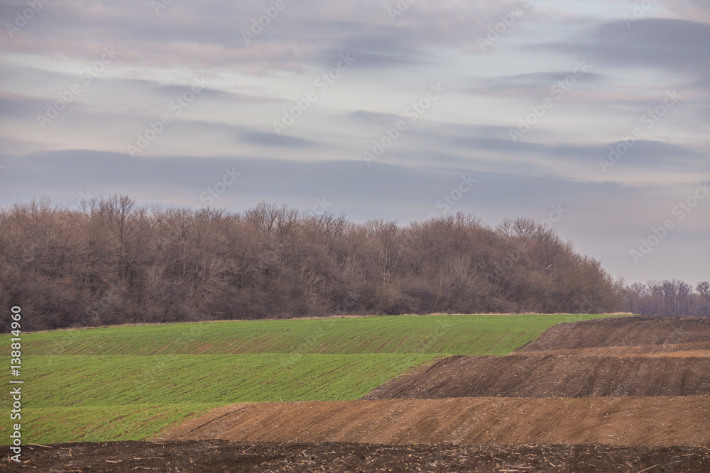 Field crops leading Field crops leading