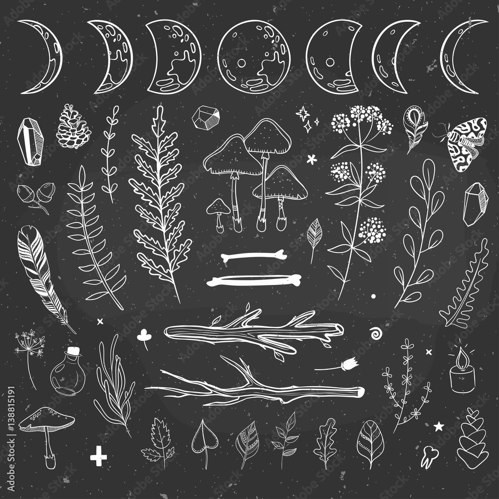Vector mysterious doodles with plants and shamanic objects. Stock ...