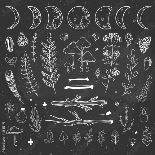 Vector mysterious doodles with plants and shamanic objects.