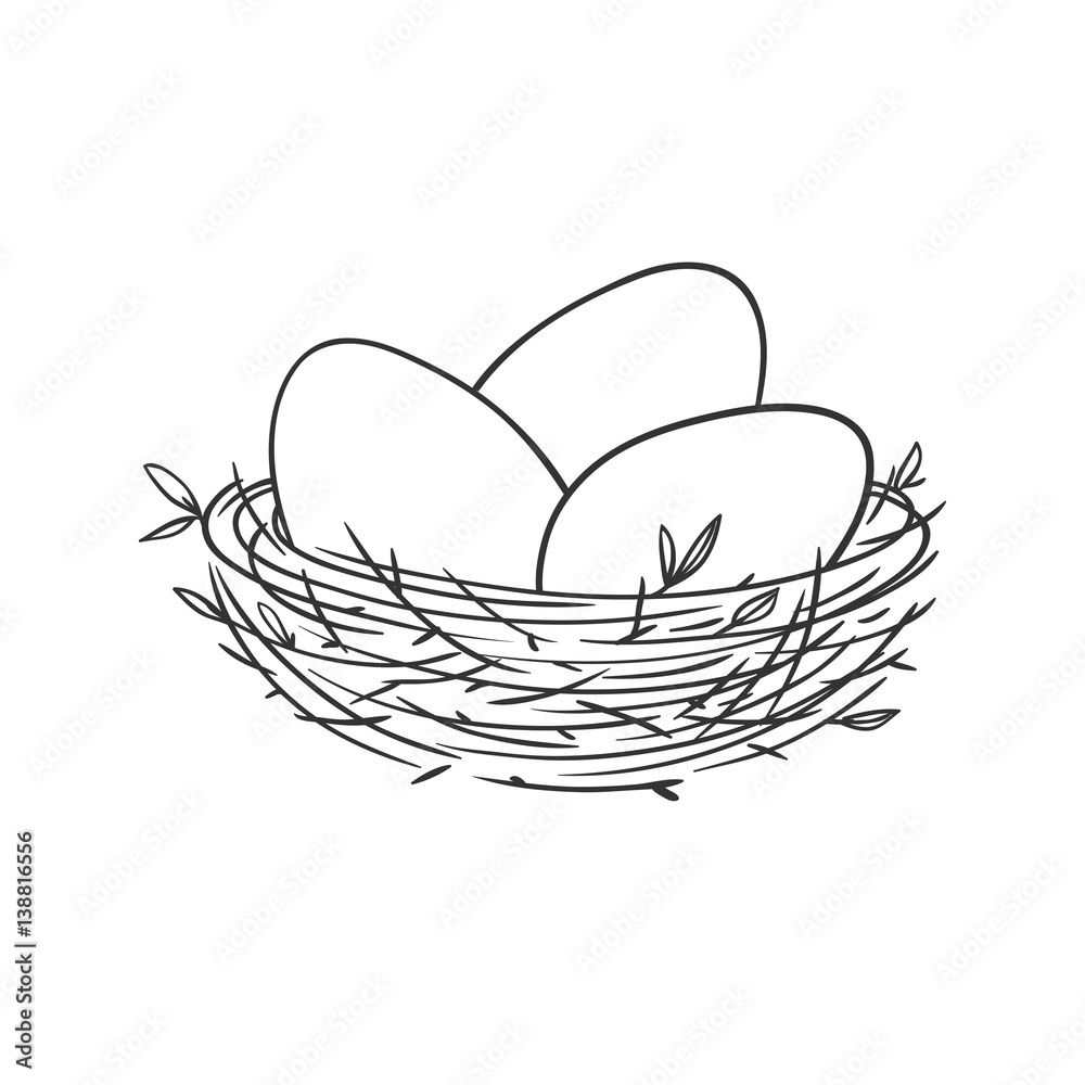 Fototapeta premium Vector linear illustration with eggs in the nest isolated on white.