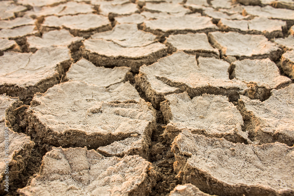 Fototapeta premium Drought, global warming, environment changes suddenly.