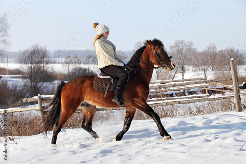 Beautiful young equestrian woman in winter countryside