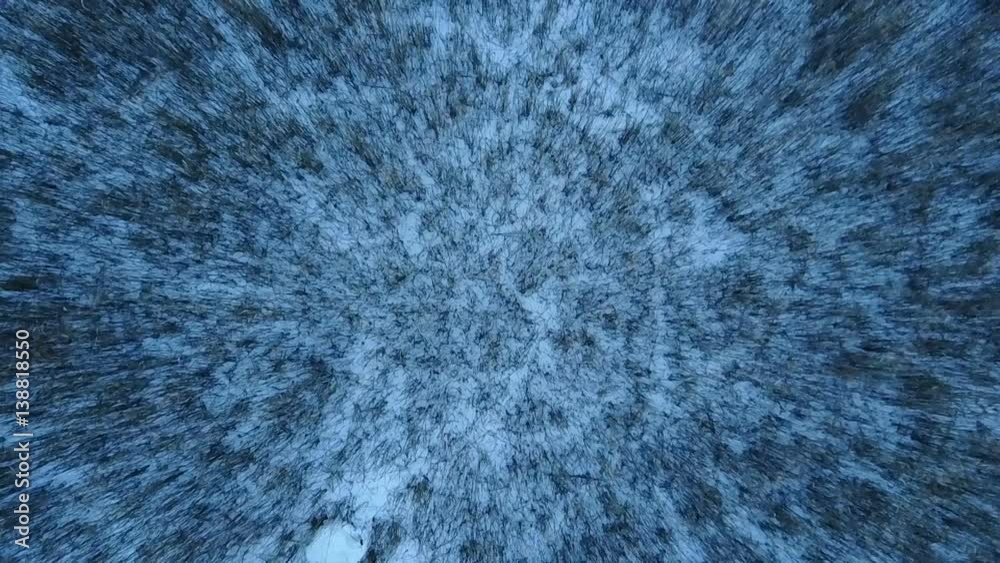 shooting using drone. Landscape winter forest. Abstraction shooting using drone. Landscape winter forest. Abstraction