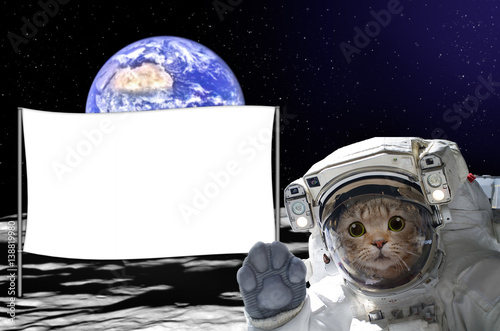 Cat astronaut on the moon with a banner behind him, on background of the globe. Elements of this image furnished by NASA.