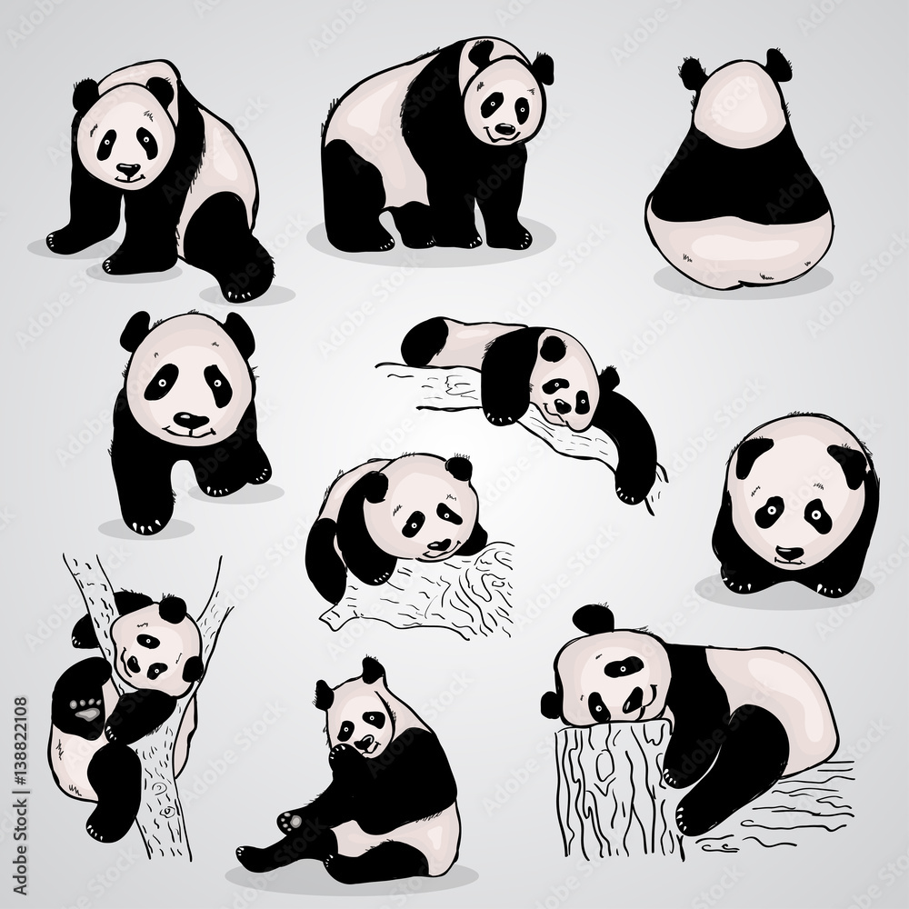 Fototapeta premium set of stylized pandas in different positions