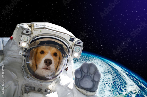 Portrait of a dog astronaut in space on background of the globe. Elements of this image furnished by NASA. photo