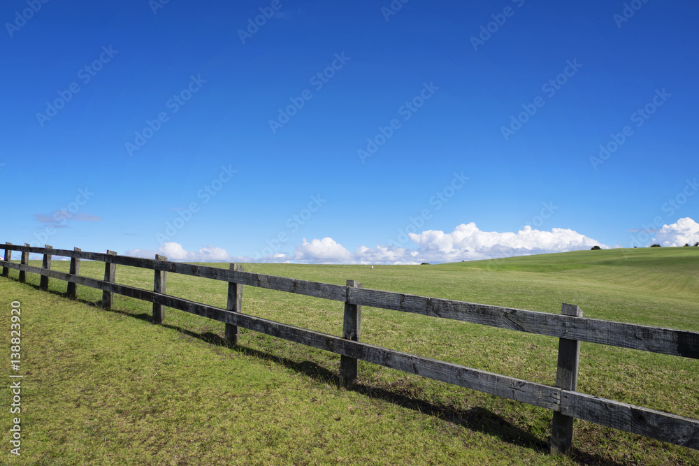 The fence in the meadow