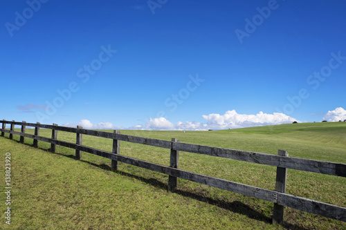 The fence in the meadow