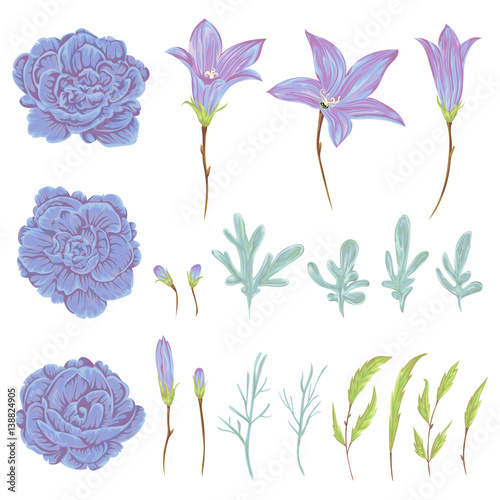 Bluebell, geranium flowers, sagebrush leaves and buds set. Rustic floral design elements for wedding invitations and birthday cards. Vintage vector illustration in watercolor style.
