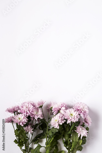 Floral pattern with several colorful flowers
