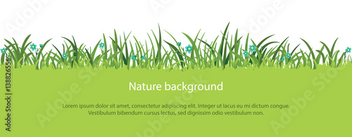 Spring or summer vector grass border