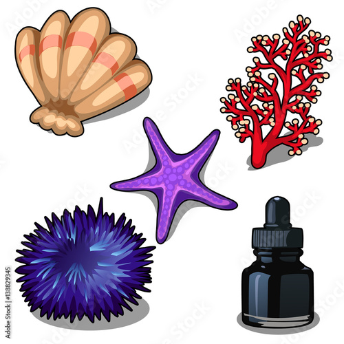 Sea creatures and black ink in bottle. Vector