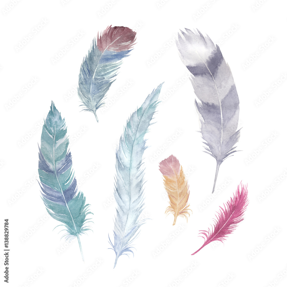 Watercolor drawing feather collection. Isolated images. For decoration, cards, invitations, textile, t-shirts