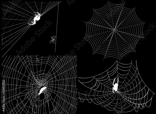 four isolated white spider webs