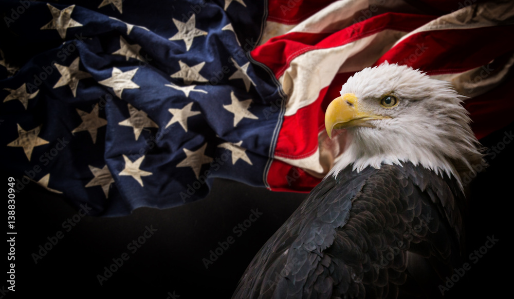 Naklejka premium American Bald Eagle z flagą.