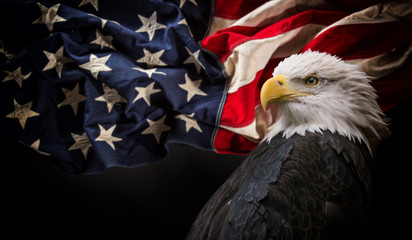 Wandcirkels Arend Amerikaanse zeearend bij sterrenbanier  © Lukas Gojda