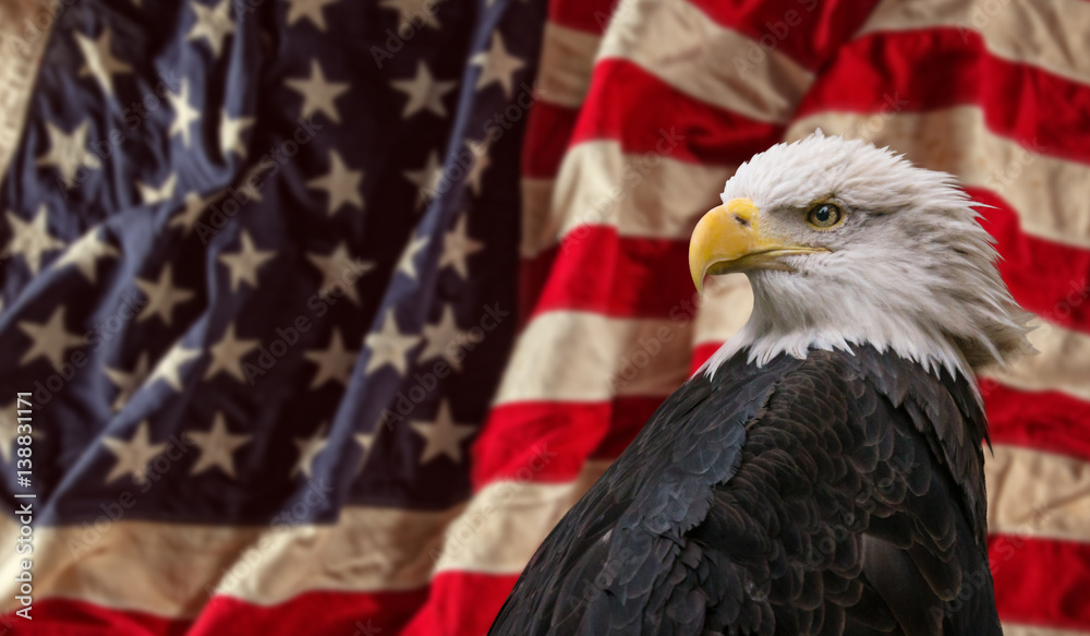 Obraz premium American Bald Eagle with Flag.