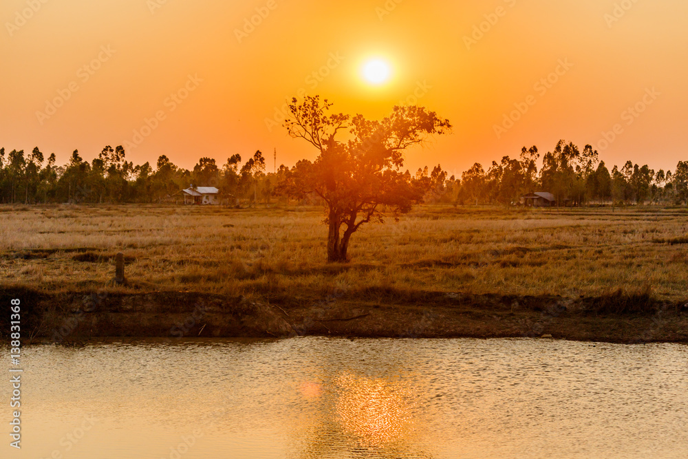 Sunrise over the trees and swamps.