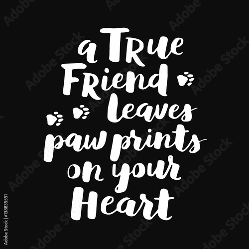 Dog hand written lettering. Brush lettering quote about the dog. Phrase about pet. Vector motivational saying with white ink on black isolated background.