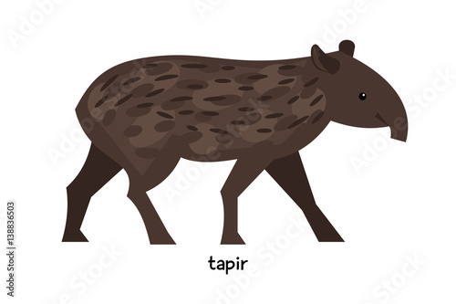 Tapir - large herbivorous animal of the order Perissodactyla, resembling a pig