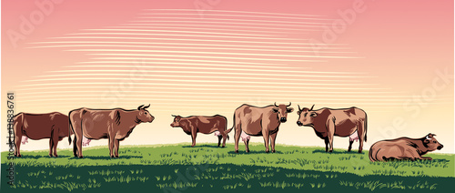 Cows grazing in a meadow.