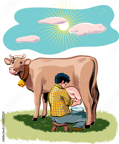 Breeder intent to milk a cow on a mountain meadow.