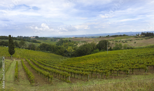 Wallpaper Mural Landscape with Cypresses and vines near of San Gimignano_Tuscany, Italy, Europe Torontodigital.ca