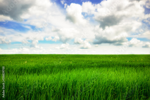 Green grass field and bright blue sky background © cezarksv