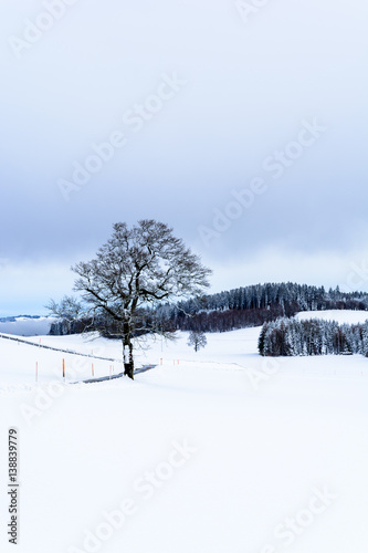  Winterlandschaft Hochformat © Tobias