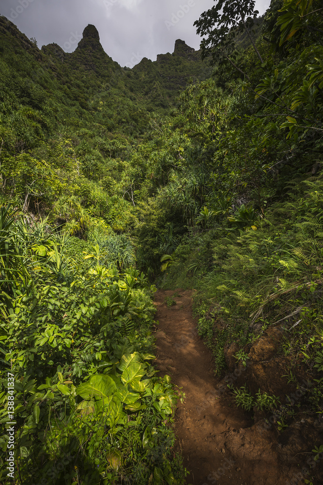 Views on the Kalalau trail along the Na Pali coast Views on the Kalalau trail along the Na Pali coast