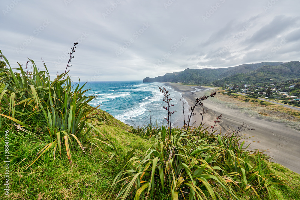 View of Piha beach in New Zealand from the slopes of Lion's rock