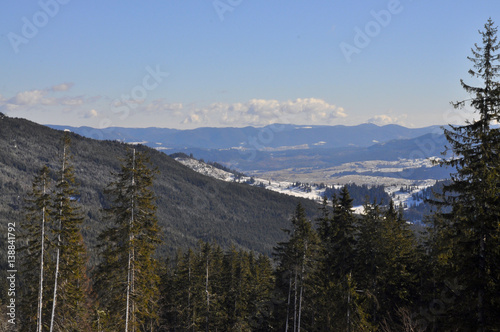 Carpathian mountains beautiful landscape