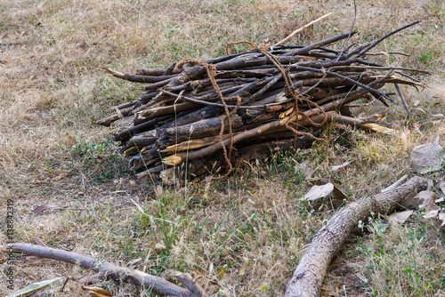 A bundle of firewood tied with a coir rope
