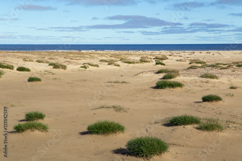 The sandy landscapes of the island of Great Begichev. The Laptev Sea. Russia.